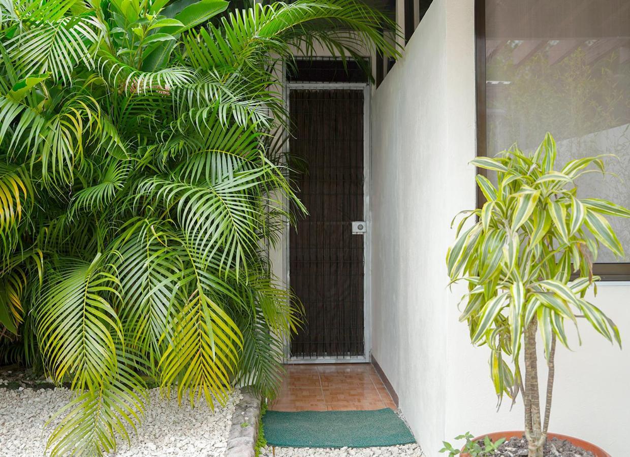 Apartamentos Y Studios Brisas Del Mar Santa Teresa Playa Santa Teresa  Экстерьер фото