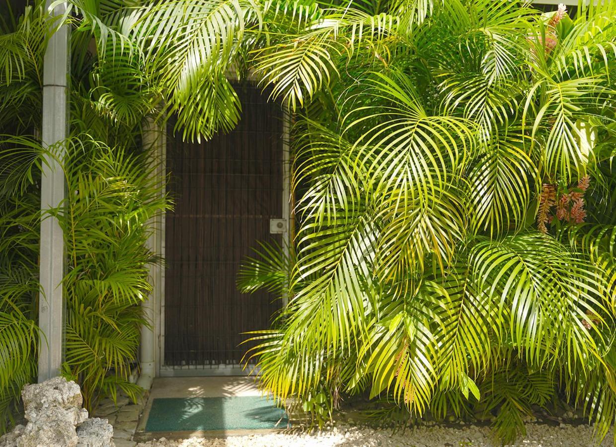 Apartamentos Y Studios Brisas Del Mar Santa Teresa Playa Santa Teresa  Экстерьер фото